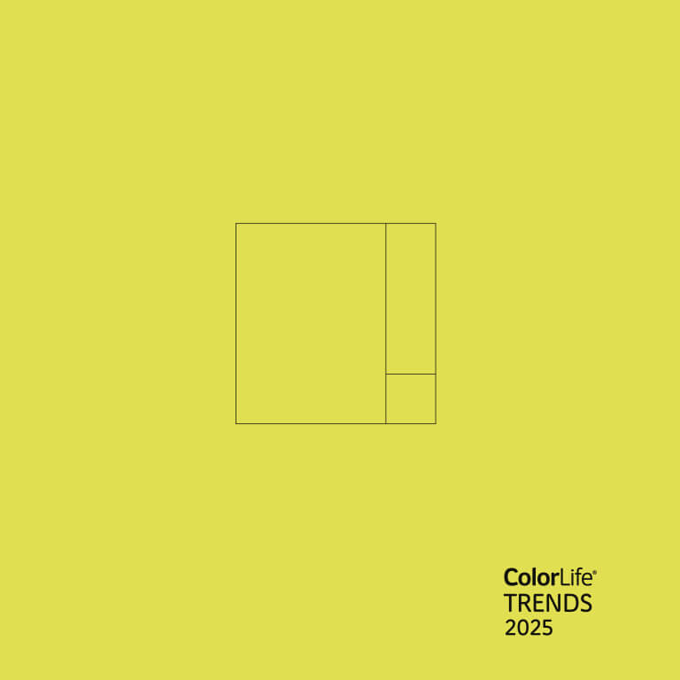 libro tendencias color 2024 comex trends